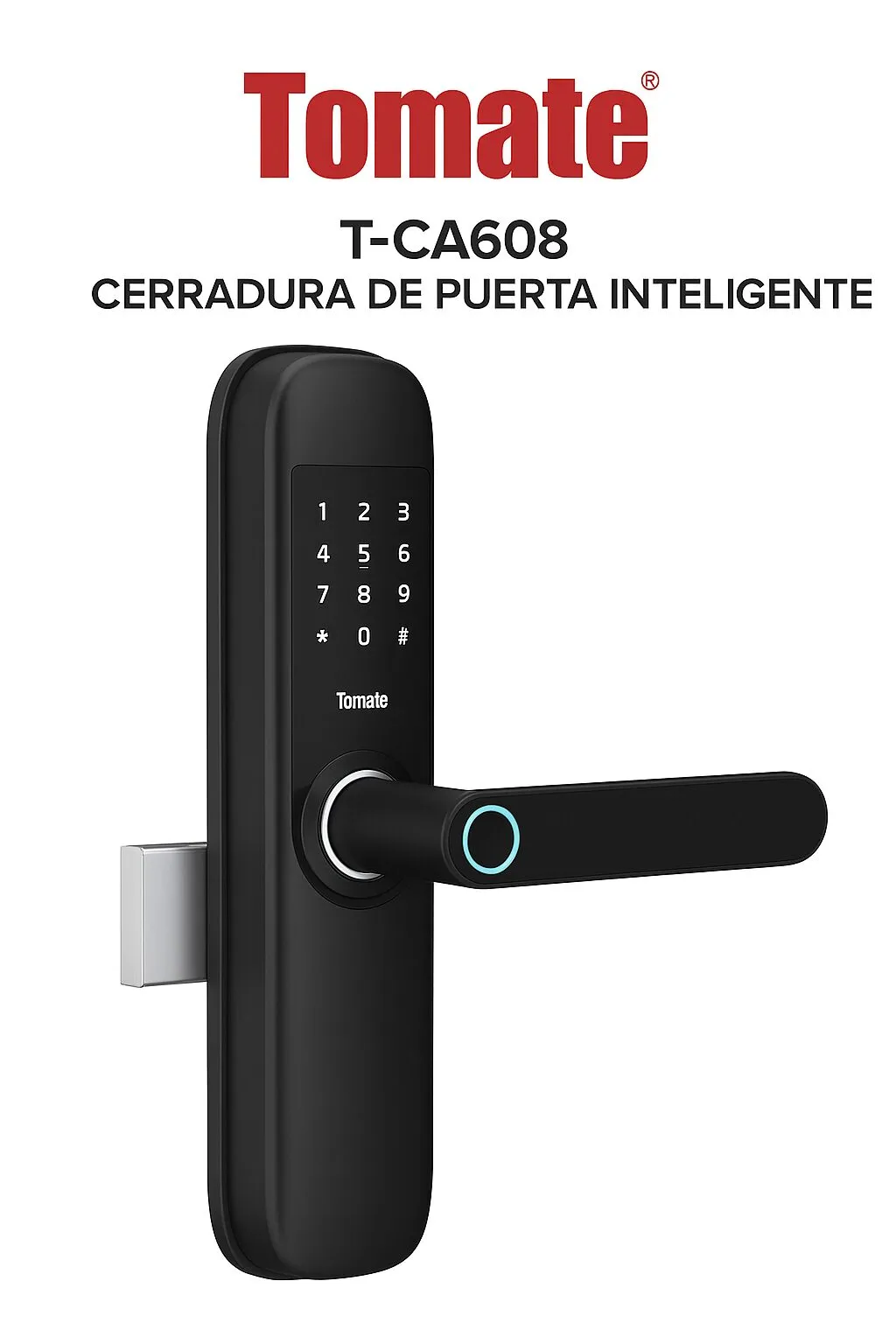 Vista 3